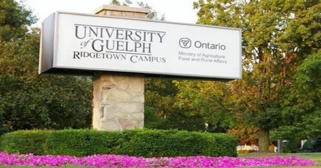 Uog Ridgetown Logo Research and Faculty Positions (46) at The University of Guelph, Canada
