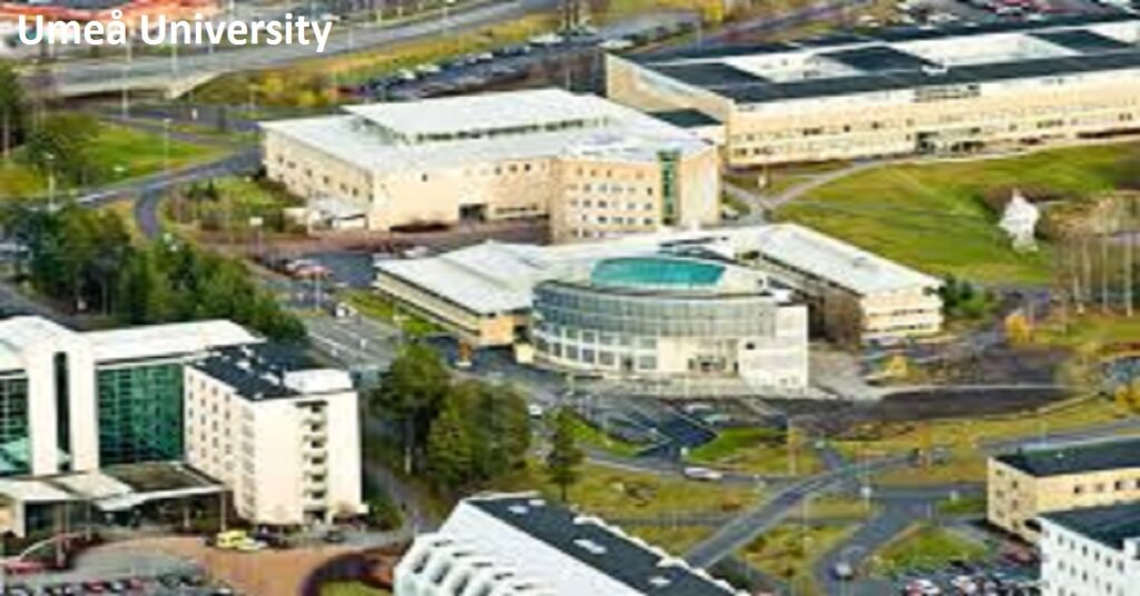 Uid Umea Postdoctoral Scholarships (12) at Umeå University in Sweden