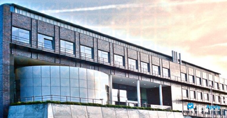 The International Max Planck Research School